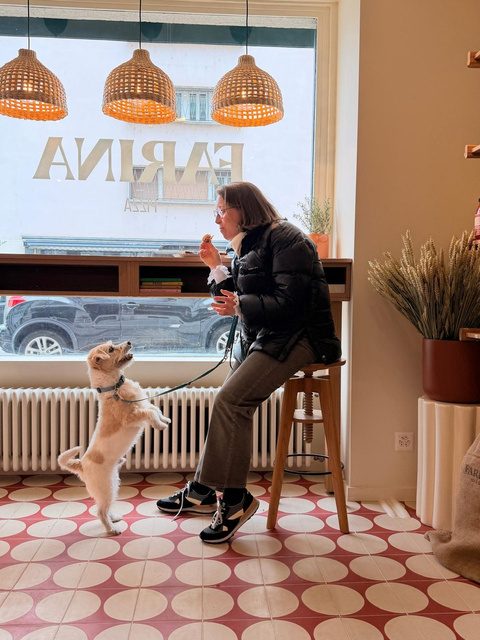 Customer with her dog at Farina Pizza in Geneva